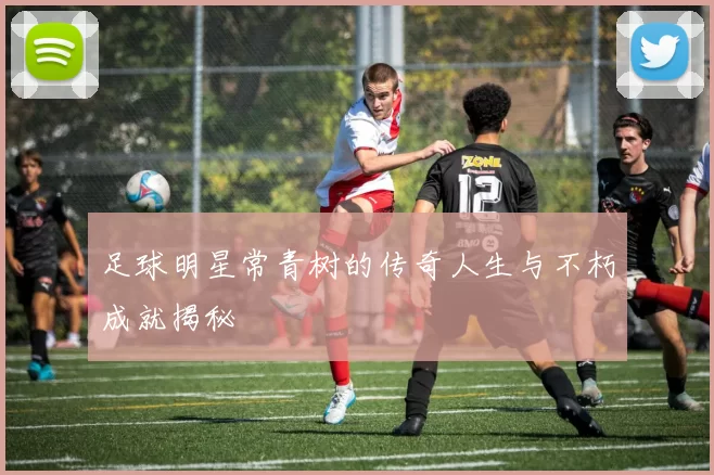 足球明星常青树的传奇人生与不朽成就揭秘